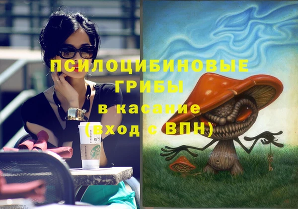 эйфоретик Коряжма