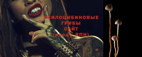 а пвп мука Корсаков