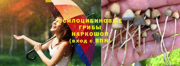 а пвп мука Корсаков