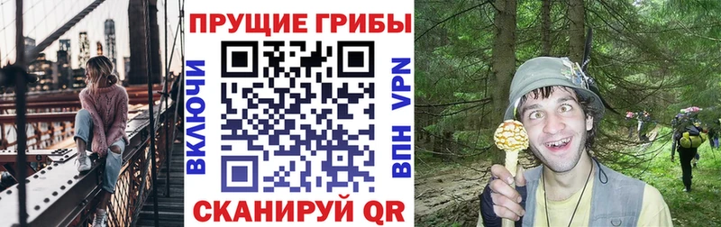 Галлюциногенные грибы Psilocybine cubensis  блэк спрут онион  Павлово 
