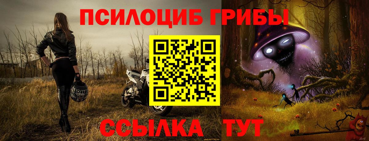 Павлово  Галлюциногенные грибы прущие грибы  Вход с VPN  Галлюциногенные грибы MAGIC MUSHROOMS 