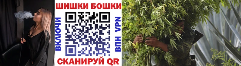 Шишки марихуана конопля  Павлово 